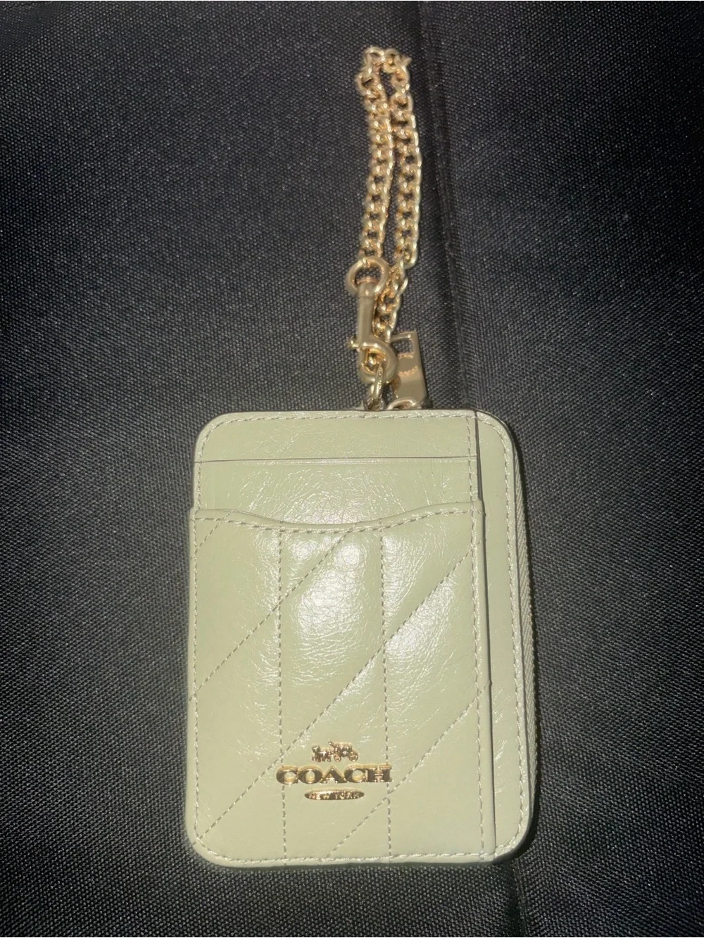 Coach Light Green Leather Card Holder with Gold Chain